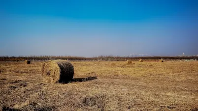 Kakadu Kaszinó Mobilalkalmazás